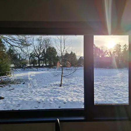 Maunie's * Κιλάρνεϊ