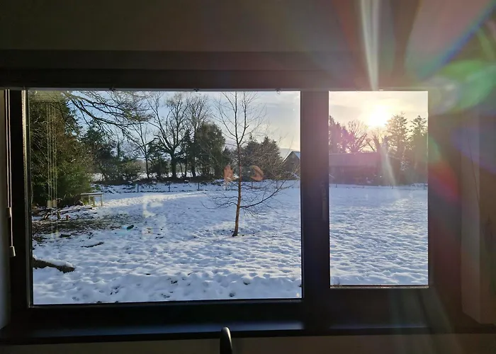 Maunie's * Кілларні